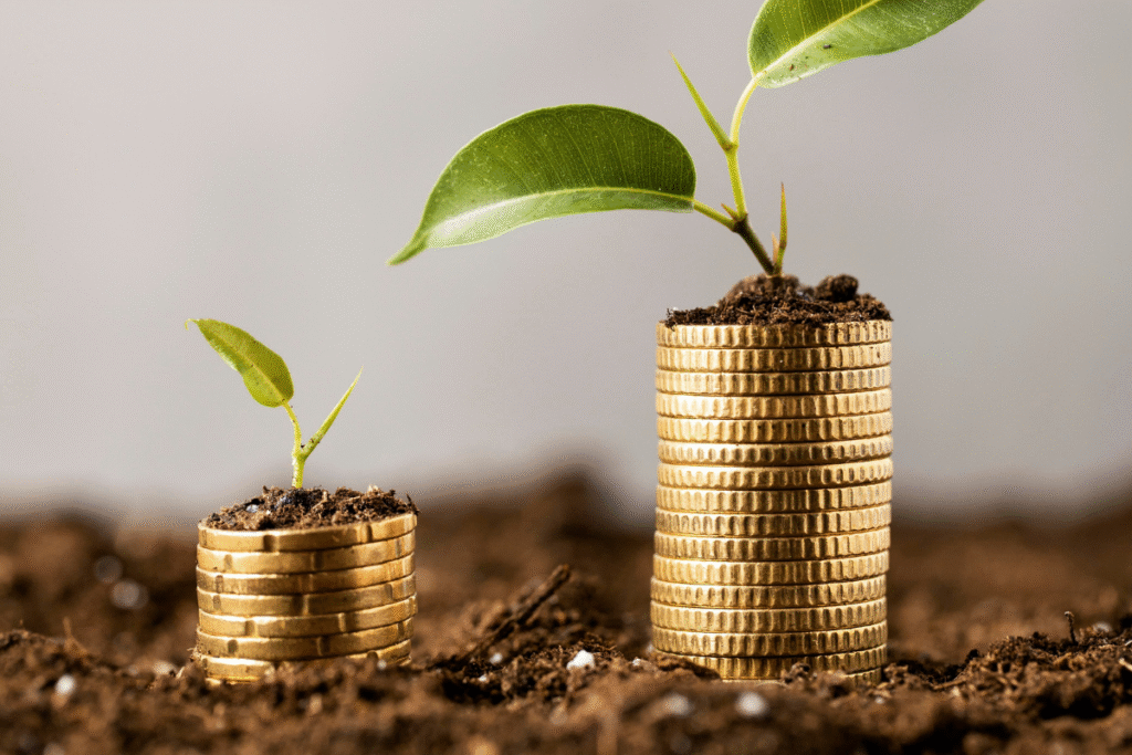 أساسيات الاستثمار