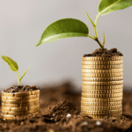 أساسيات الاستثمار